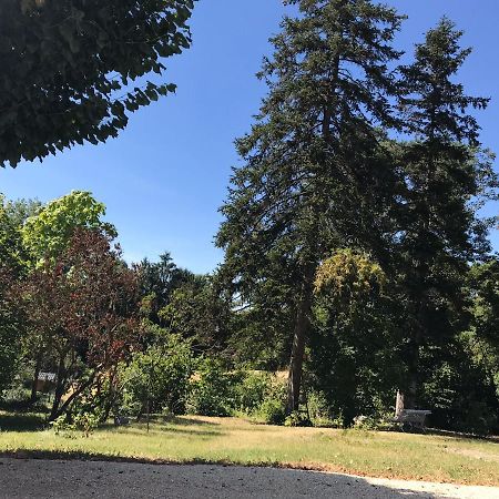 Charmant F1 Avec Terrasse Et Vue Sur Jardin Arbore - Fraicheur Naturelle Du Rez De Jardin - Parking Bellerive-sur-Allier Luaran gambar